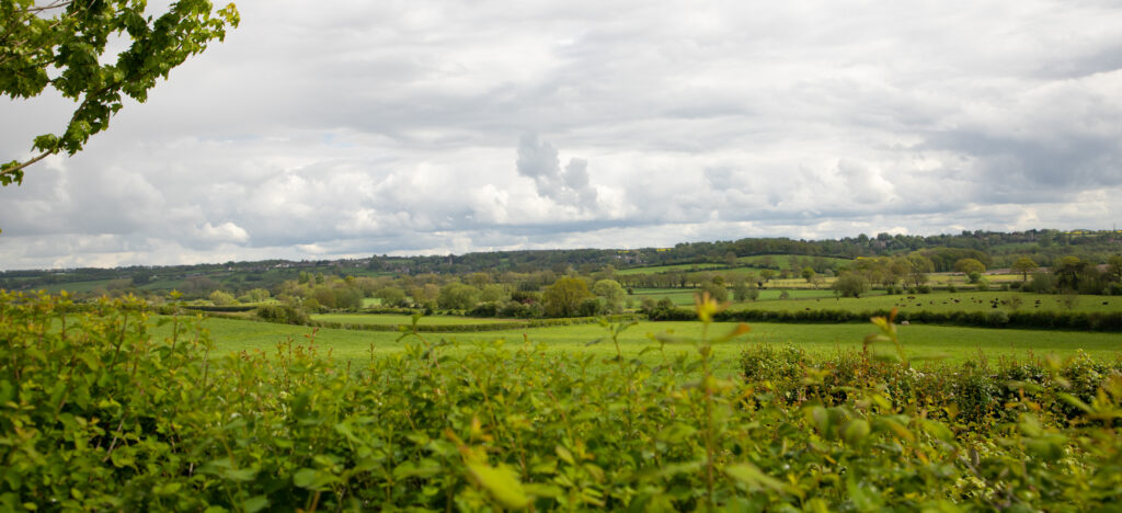 The landscape looking out across the farm towards Rockingham